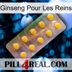 Ginseng For Kidney new11